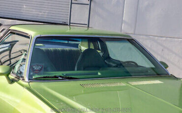 Chevrolet-Monte-Carlo-1974-Green-Other-Color-0-8