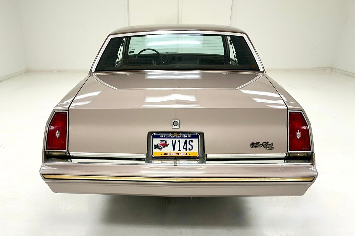 Chevrolet-Monte-Carlo-1984-Brown-Brown-78187-3