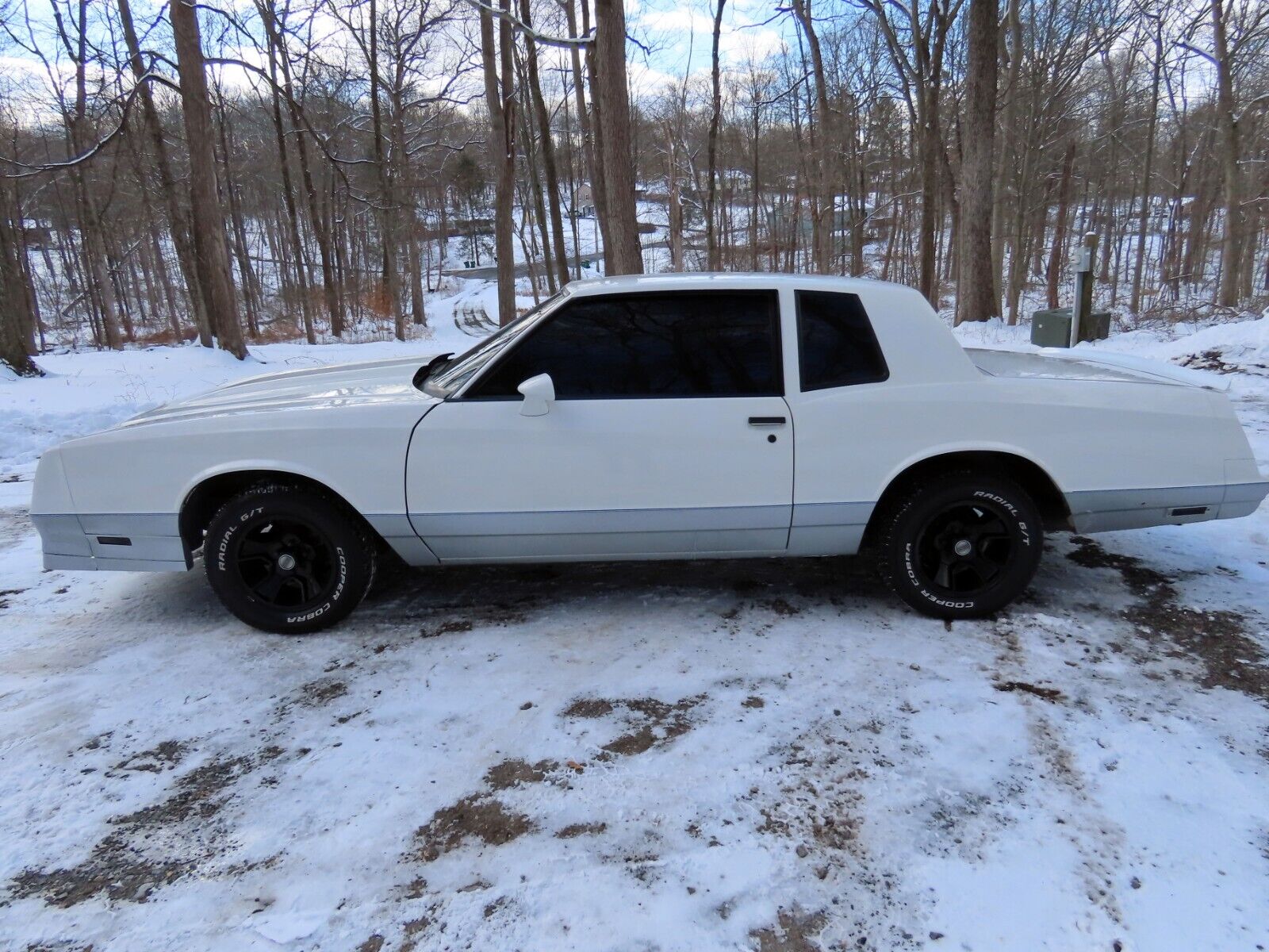 Chevrolet Monte Carlo Coupe 1984 à vendre