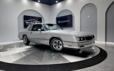 Chevrolet-Monte-Carlo-Coupe-1985-Silver-Gray-15582-11