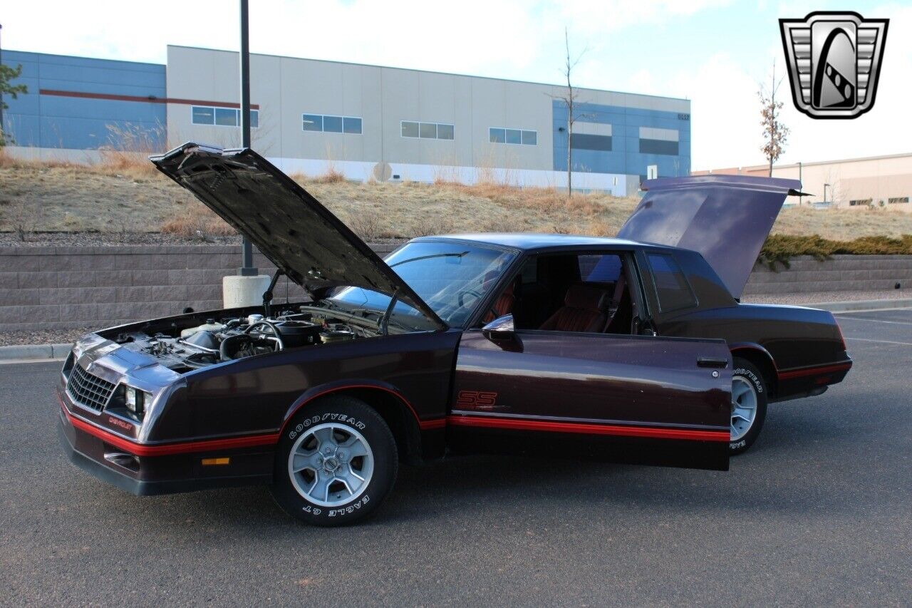 Chevrolet-Monte-Carlo-Coupe-1987-Maroon-Maroon-22199-11