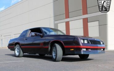 Chevrolet-Monte-Carlo-Coupe-1987-Maroon-Maroon-22199-8