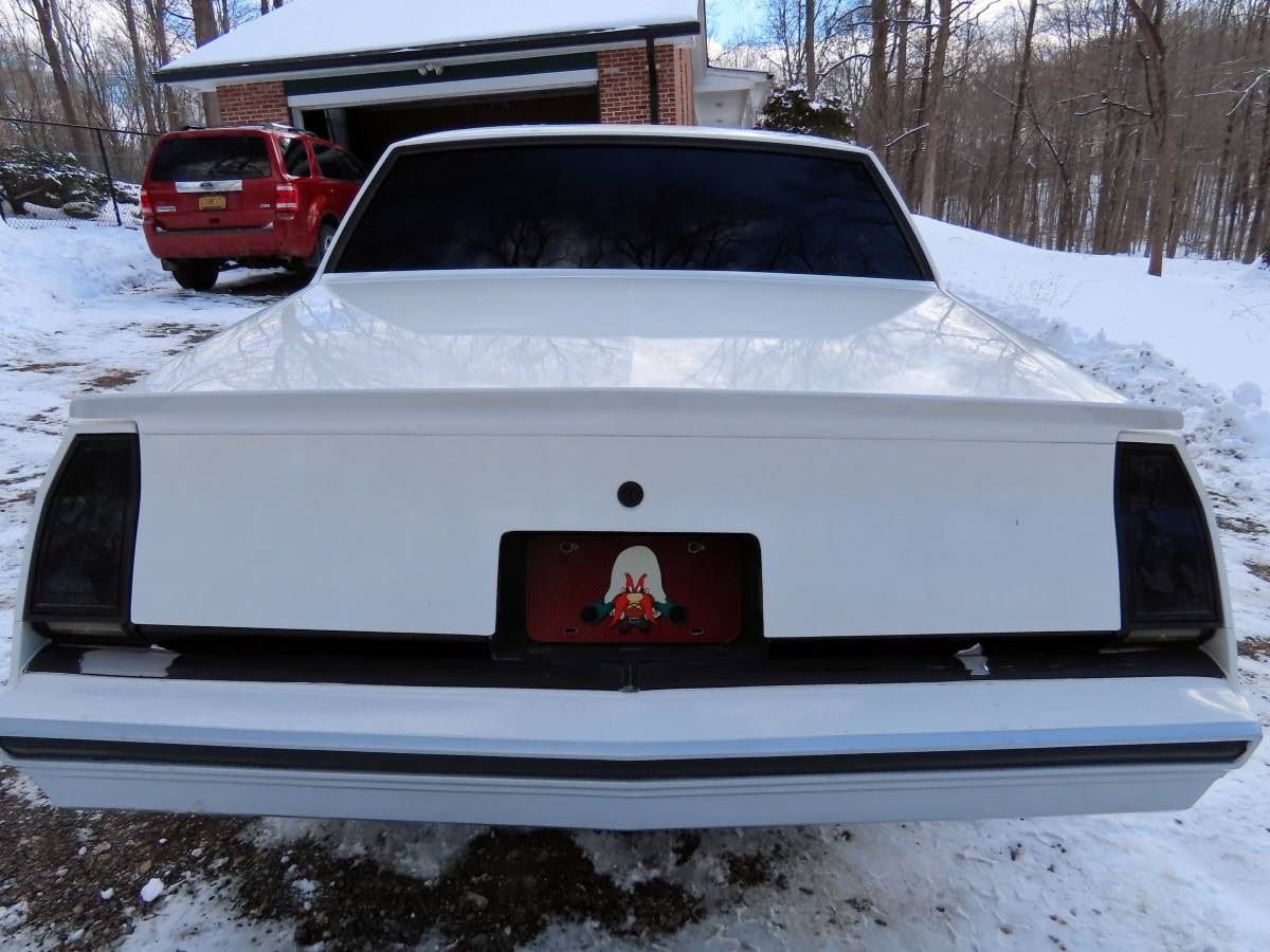 Chevrolet-Monte-carlo-ss-1984-white-76098-18