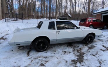 Chevrolet-Monte-carlo-ss-1984-white-76098-6