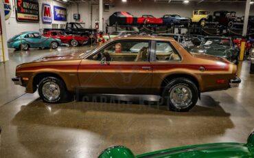 Chevrolet-Monza-Coupe-1980-Bronze-Tan-808-10