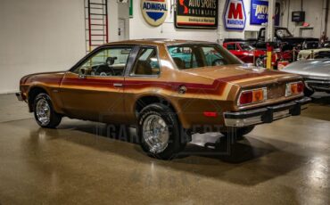 Chevrolet-Monza-Coupe-1980-Bronze-Tan-808-11