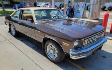 Chevrolet-Nova-1977-brown-87548-1