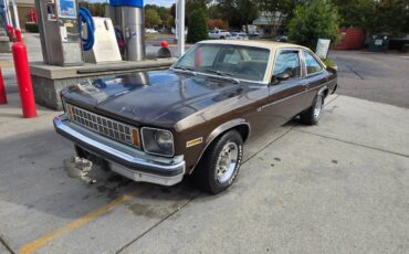 Chevrolet-Nova-1977-brown-87548-17