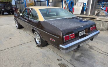 Chevrolet-Nova-1977-brown-87548-18