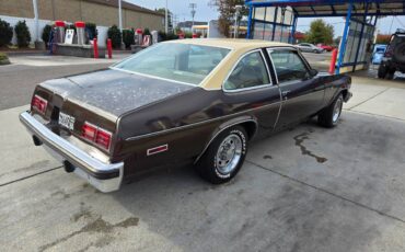 Chevrolet-Nova-1977-brown-87548-19