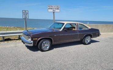 Chevrolet-Nova-1977-brown-87548-21