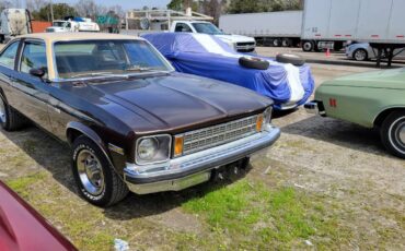 Chevrolet-Nova-1977-brown-87548-22