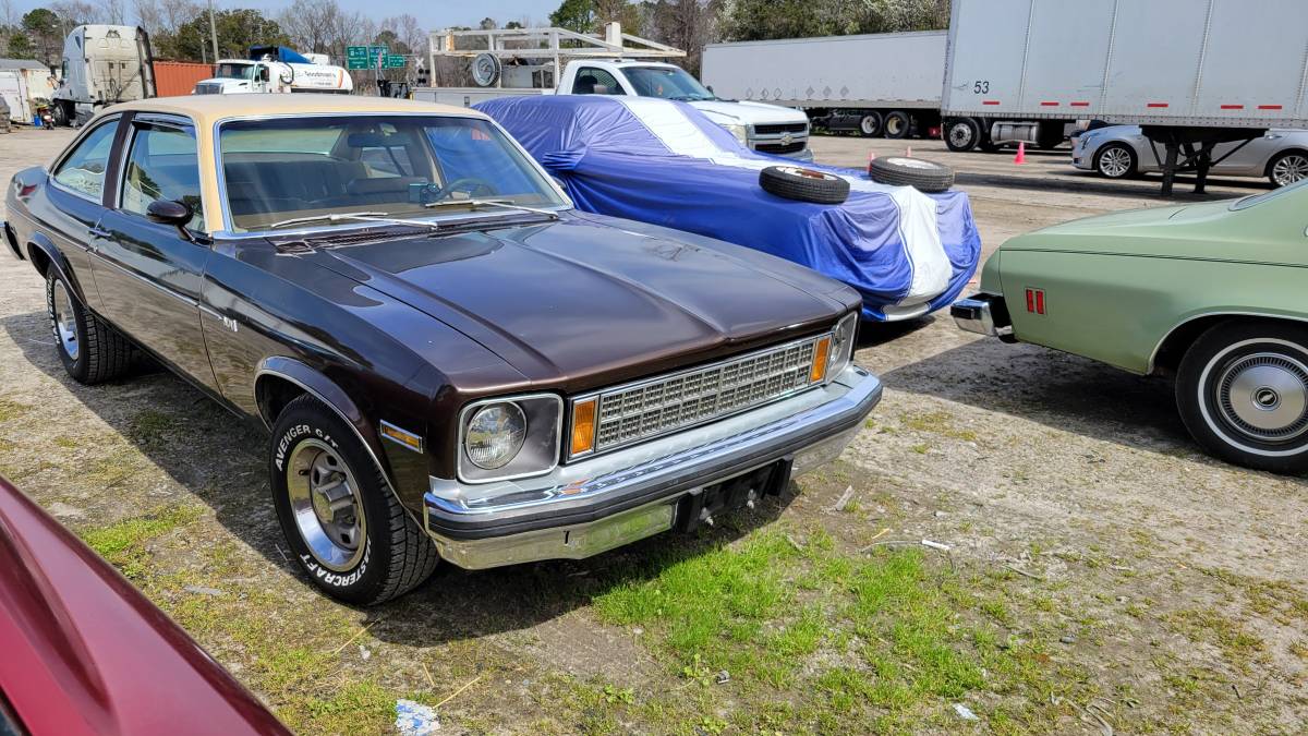 Chevrolet-Nova-1977-brown-87548-22