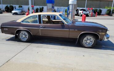 Chevrolet-Nova-1977-brown-87548-3