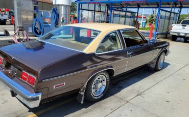 Chevrolet-Nova-1977-brown-87548-4