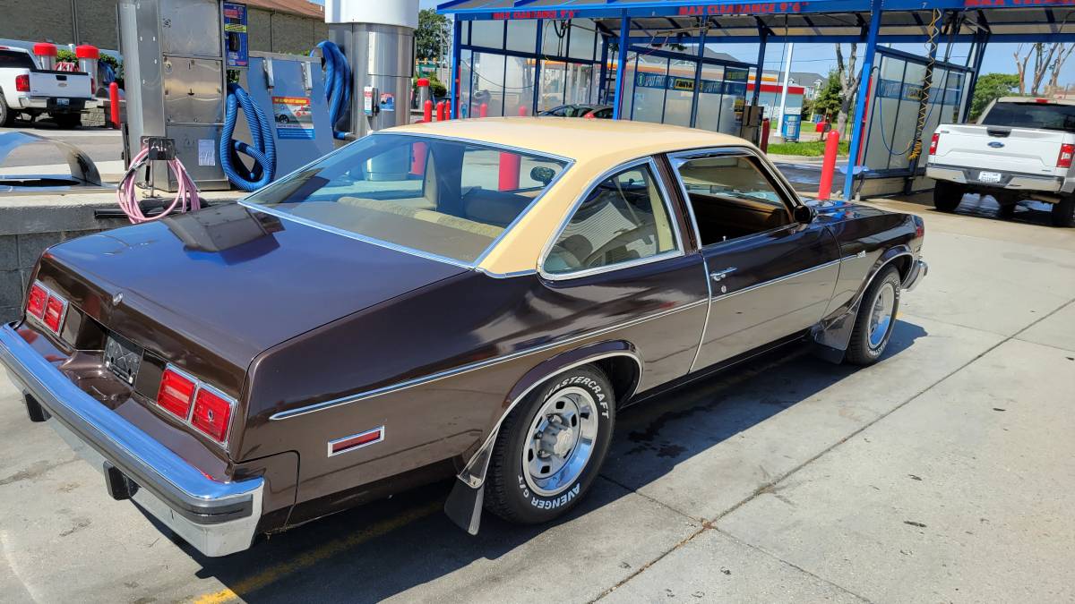 Chevrolet-Nova-1977-brown-87548-4