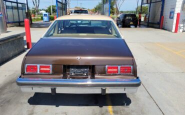 Chevrolet-Nova-1977-brown-87548-5