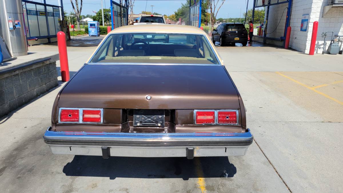 Chevrolet-Nova-1977-brown-87548-5