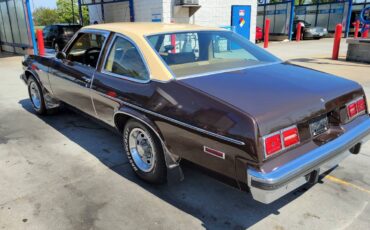 Chevrolet-Nova-1977-brown-87548-6