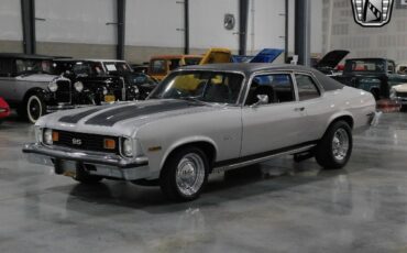 Chevrolet-Nova-Coupe-1973-Gray-Gray-38413-2