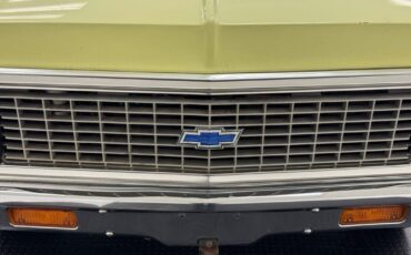 Chevrolet-Other-Pickups-1972-Grapefruit-Parchment-85319-8