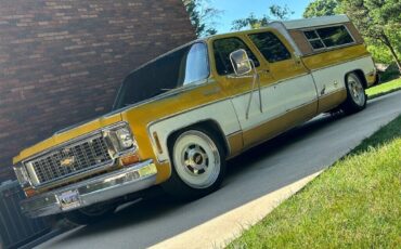 Chevrolet-Other-Pickups-1973-Two-Tone-Tan-0-3