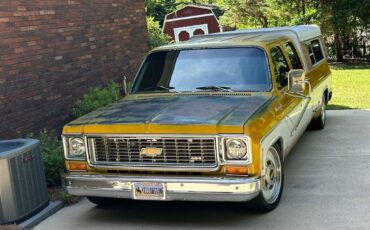 Chevrolet-Other-Pickups-1973-Two-Tone-Tan-0-5