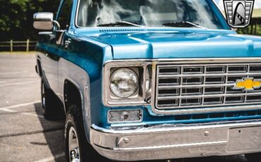 Chevrolet-Other-Pickups-1976-Blue-Black-257-11