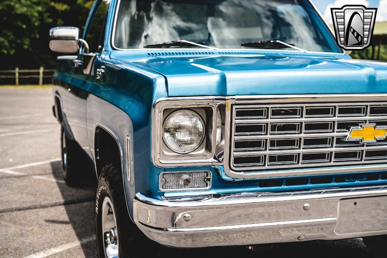 Chevrolet-Other-Pickups-1976-Blue-Black-257-11