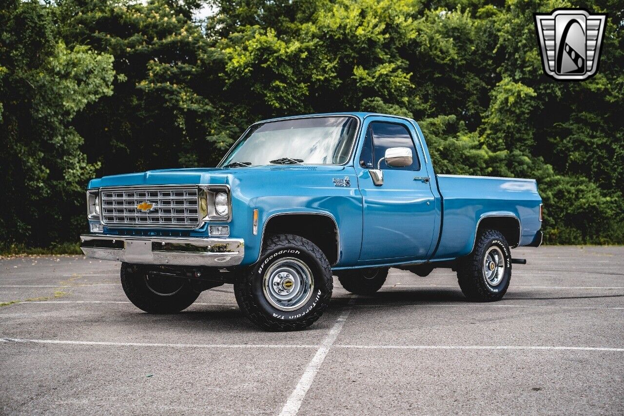 Chevrolet-Other-Pickups-1976-Blue-Black-257-2