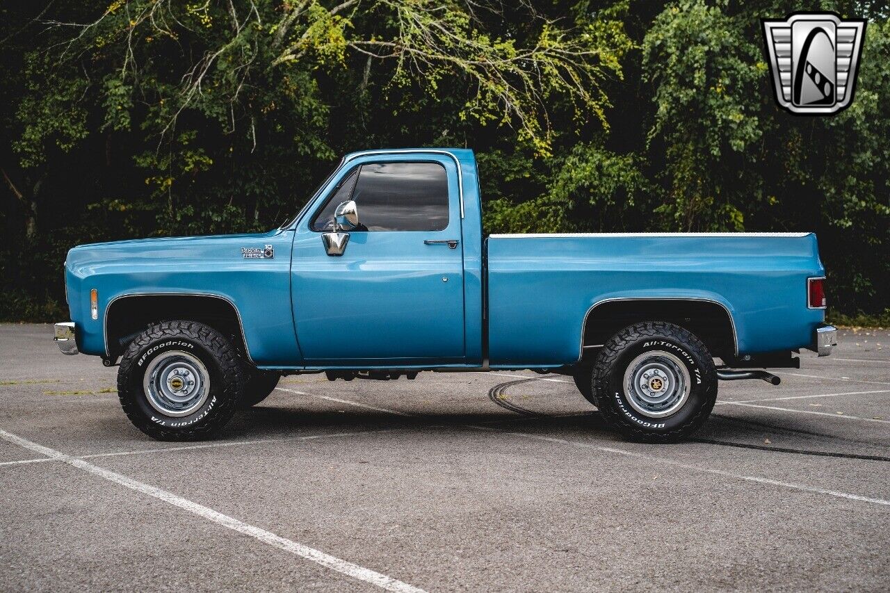 Chevrolet-Other-Pickups-1976-Blue-Black-257-3