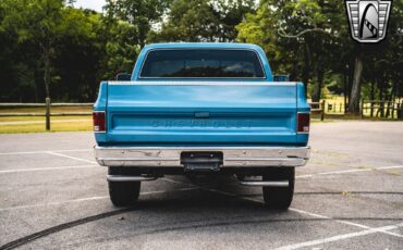 Chevrolet-Other-Pickups-1976-Blue-Black-257-5