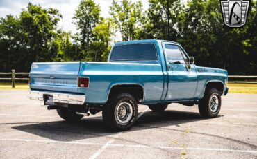 Chevrolet-Other-Pickups-1976-Blue-Black-257-6