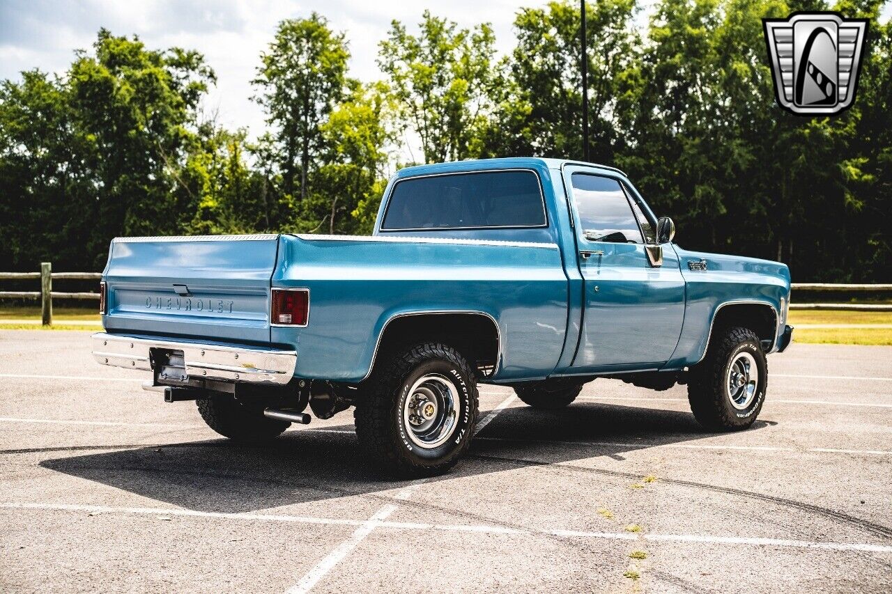 Chevrolet-Other-Pickups-1976-Blue-Black-257-6