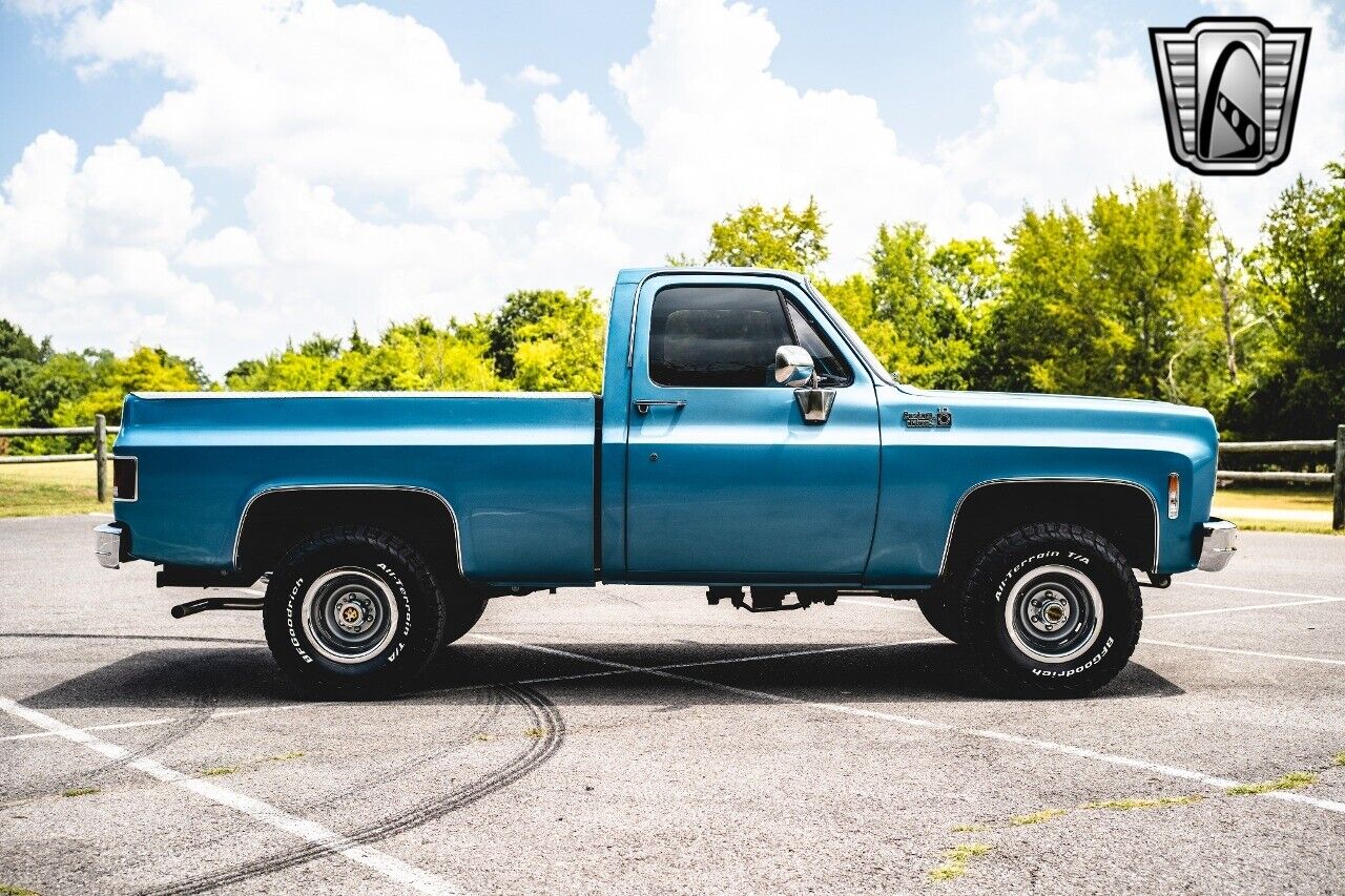 Chevrolet-Other-Pickups-1976-Blue-Black-257-7