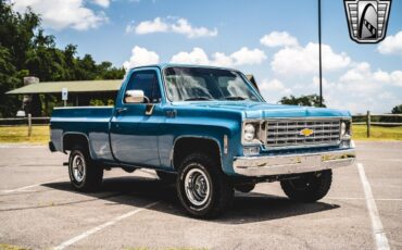 Chevrolet-Other-Pickups-1976-Blue-Black-257-8