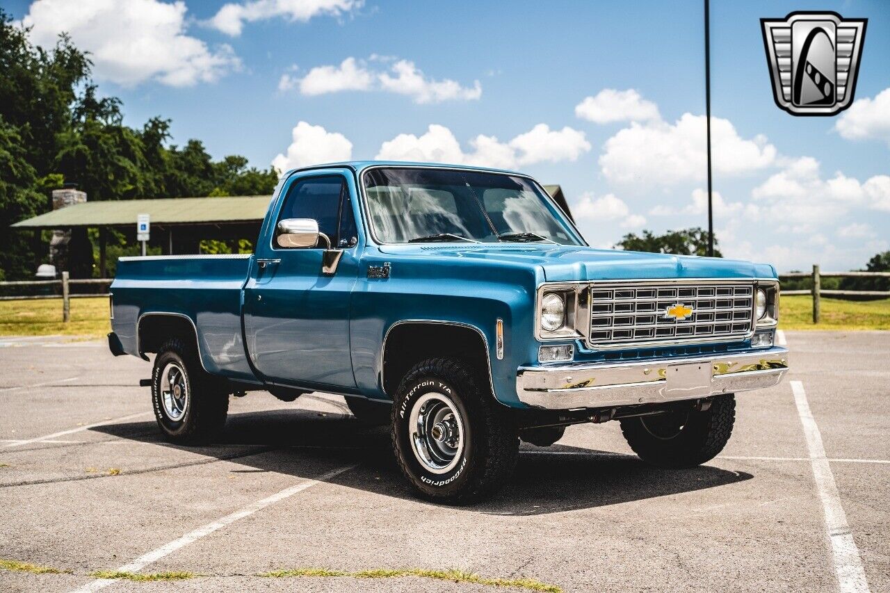 Chevrolet-Other-Pickups-1976-Blue-Black-257-8