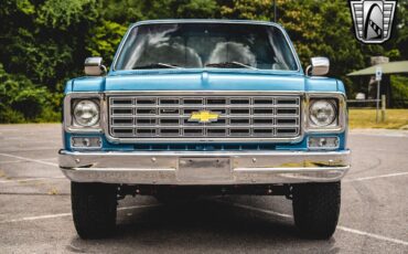 Chevrolet-Other-Pickups-1976-Blue-Black-257-9