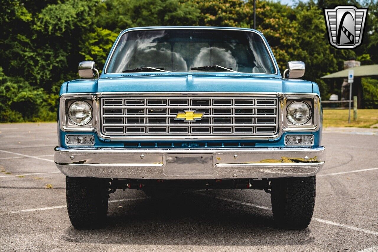 Chevrolet-Other-Pickups-1976-Blue-Black-257-9