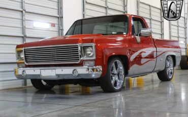 Chevrolet-Other-Pickups-1978-Orange-Black-5568-3