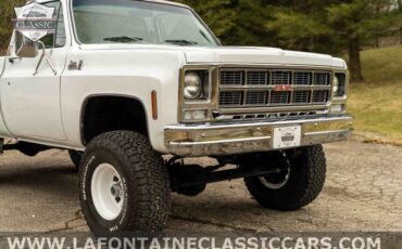 Chevrolet-Other-Pickups-1979-Gray-54024-1