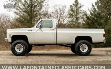 Chevrolet-Other-Pickups-1979-Gray-54024-12