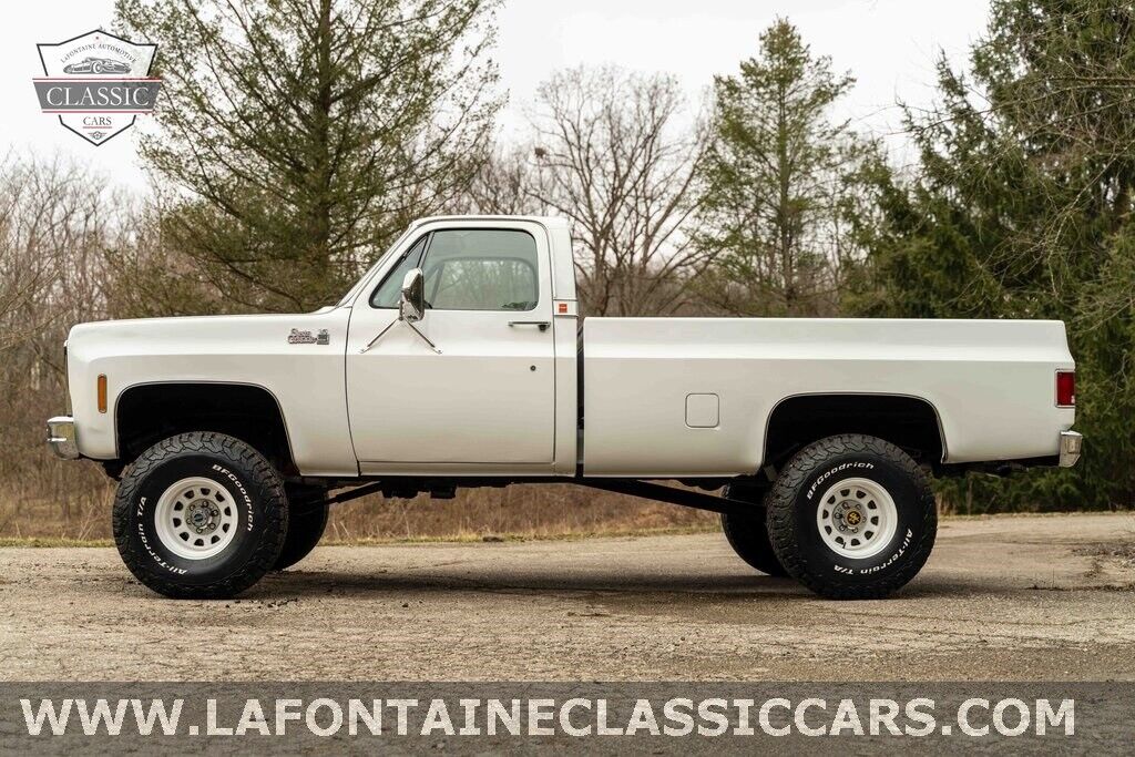 Chevrolet-Other-Pickups-1979-Gray-54024-12