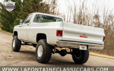 Chevrolet-Other-Pickups-1979-Gray-54024-13