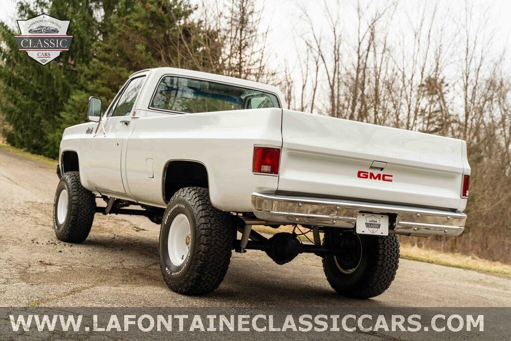 Chevrolet-Other-Pickups-1979-Gray-54024-13