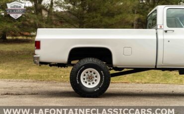 Chevrolet-Other-Pickups-1979-Gray-54024-19