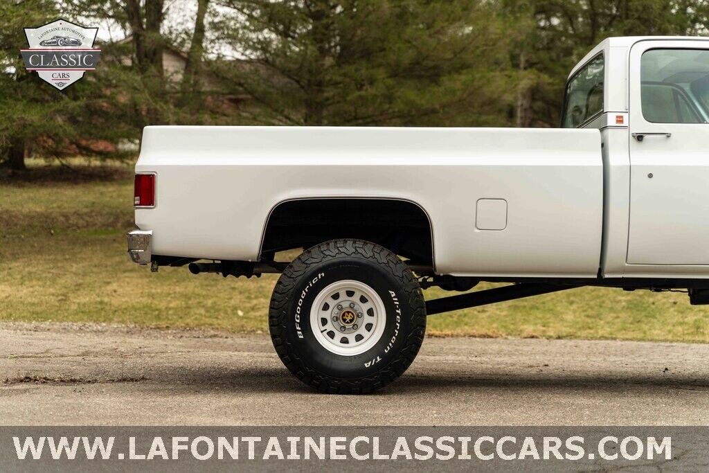 Chevrolet-Other-Pickups-1979-Gray-54024-19