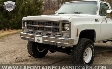 Chevrolet-Other-Pickups-1979-Gray-54024-5