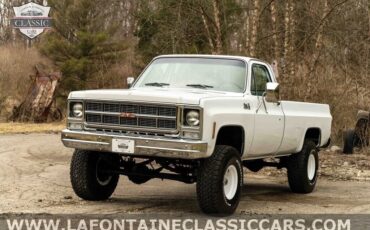 Chevrolet-Other-Pickups-1979-Gray-54024-6