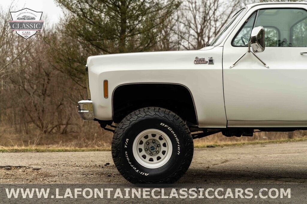 Chevrolet-Other-Pickups-1979-Gray-54024-8